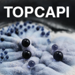 TOPCAPI logo