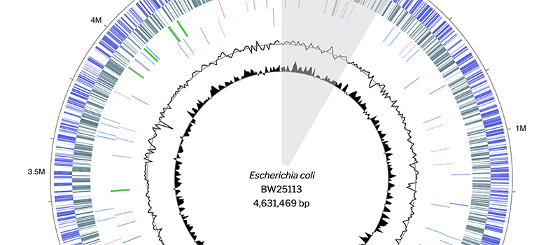 Genome Browser