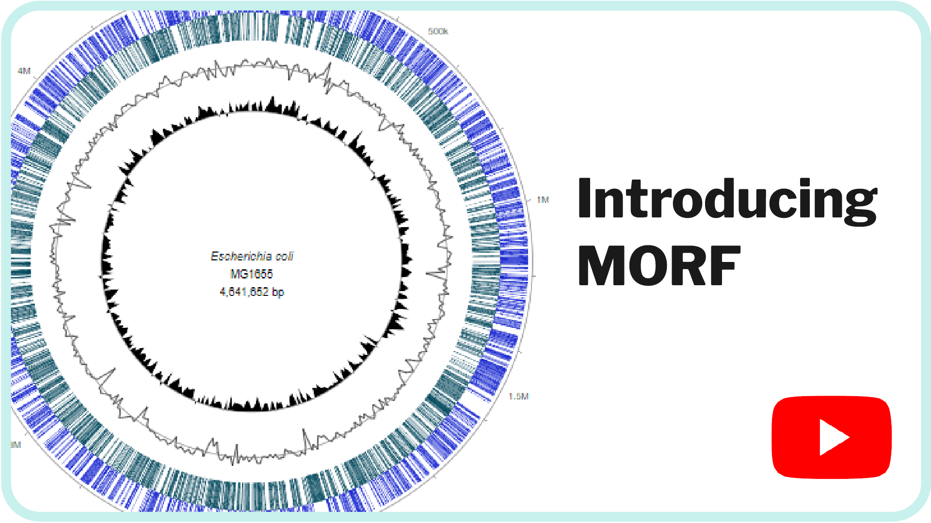 Introducing MORF video screenshot