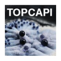 TOPCAPI logo